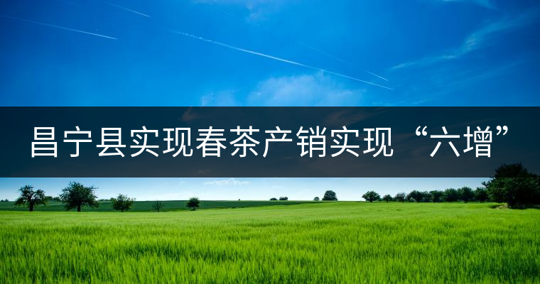 昌寧縣實現(xiàn)春茶產(chǎn)銷實現(xiàn)“六增”