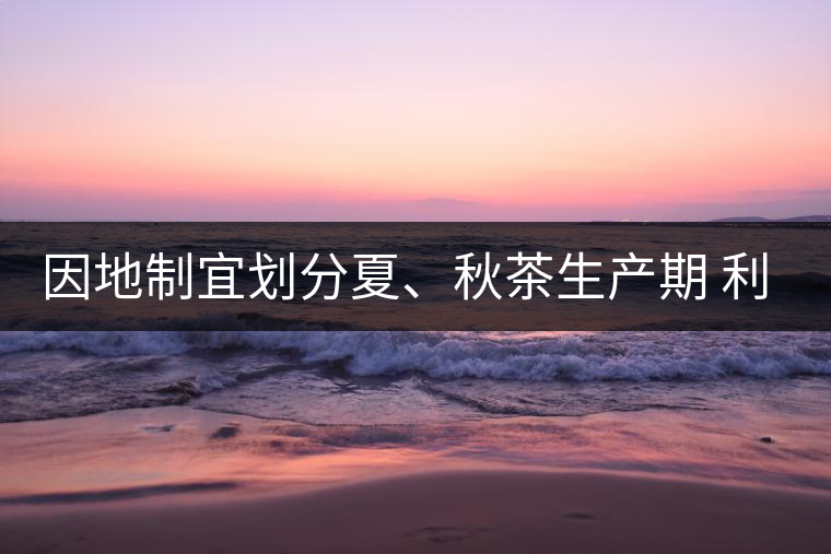 因地制宜劃分夏、秋茶生產(chǎn)期 利于采摘品質(zhì)