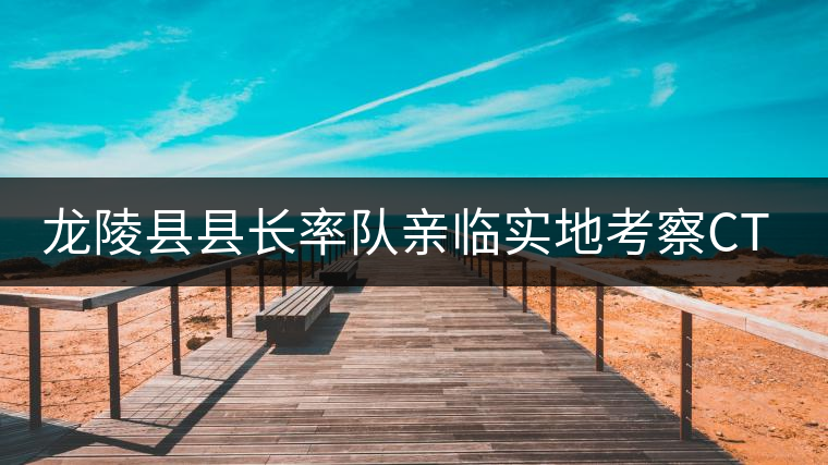 龍陵縣縣長率隊親臨實地考察CTC紅茶生產線