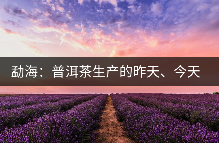 勐海：普洱茶生產(chǎn)的昨天、今天、明天