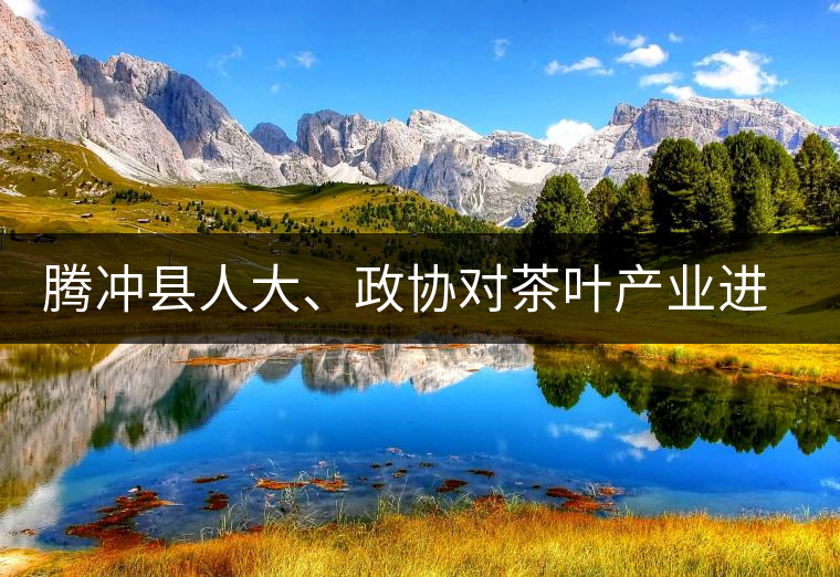 騰沖縣人大、政協(xié)對茶葉產(chǎn)業(yè)進行視察