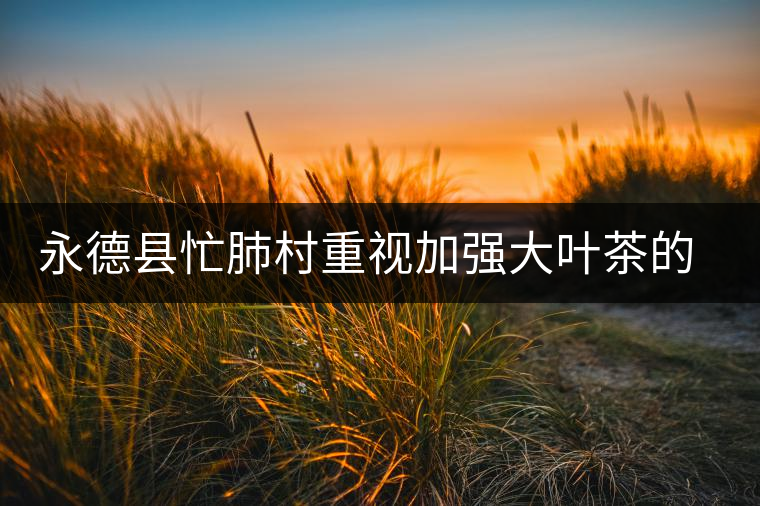 永德縣忙肺村重視加強(qiáng)大葉茶的采摘和無公害管理 永德縣忙肺村重視加強(qiáng)大葉茶的采摘和無公害管理