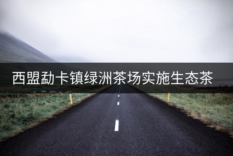 西盟勐卡鎮(zhèn)綠洲茶場(chǎng)實(shí)施生態(tài)茶園改造見效益