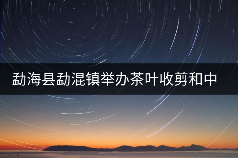 勐?？h勐混鎮(zhèn)舉辦茶葉收剪和中耕培土現(xiàn)場(chǎng)培訓(xùn)會(huì)