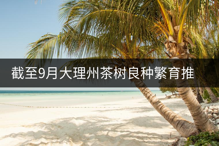 截至9月大理州茶樹良種繁育推廣基本情況 截至9月大理州茶樹良種繁育推廣基本情況