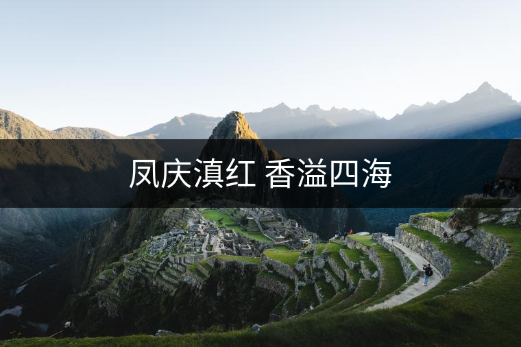鳳慶滇紅 香溢四海 鳳慶滇紅 香溢四海