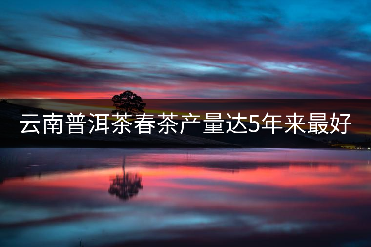 云南普洱茶春茶產(chǎn)量達(dá)5年來最好