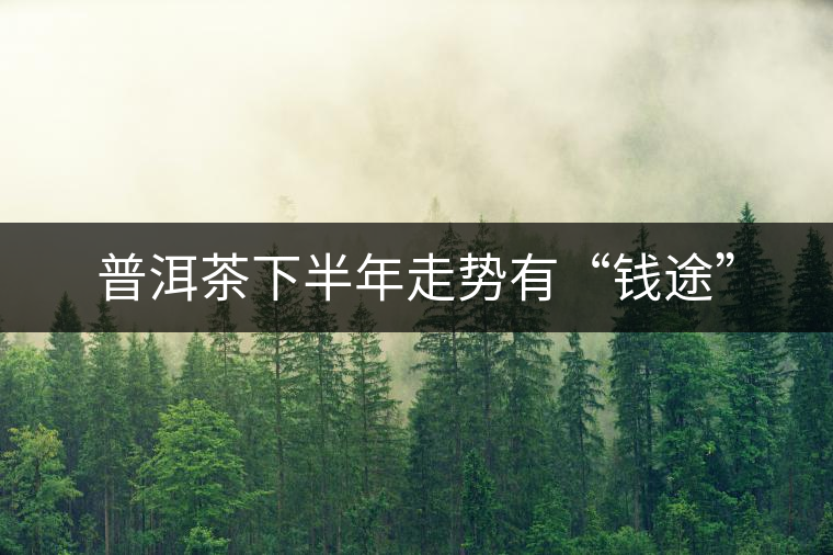 普洱茶下半年走勢(shì)有“錢途”