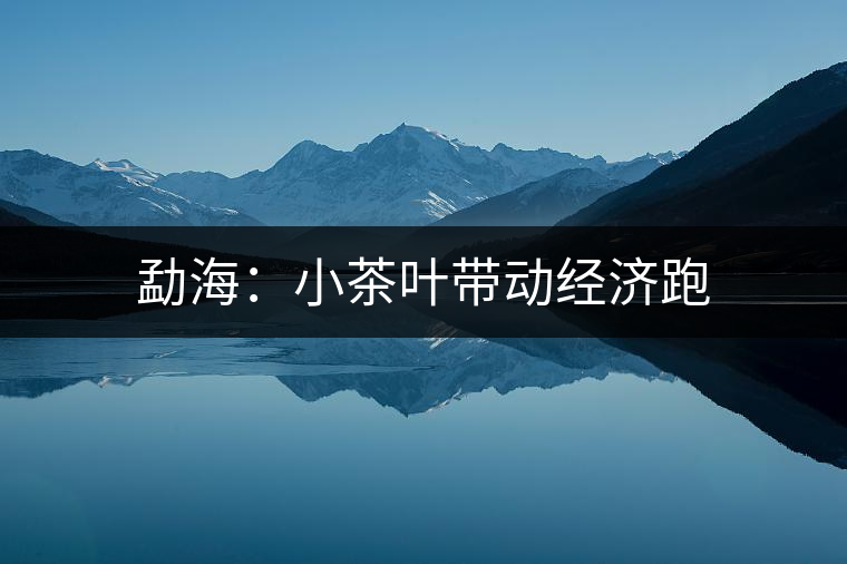 勐海：小茶葉帶動經(jīng)濟(jì)跑