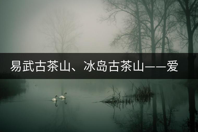 易武古茶山、冰島古茶山——愛茶人的旅游選擇