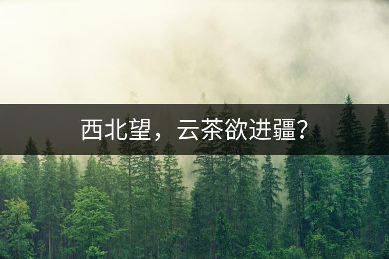 西北望，云茶欲進(jìn)疆？