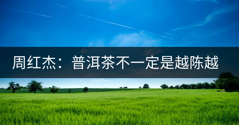 周紅杰：普洱茶不一定是越陳越香、越陳越好