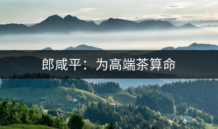 郎咸平：為高端茶算命