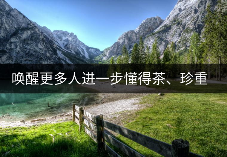 喚醒更多人進一步懂得茶、珍重茶、享受茶