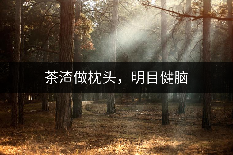 茶渣做枕頭，明目健腦
