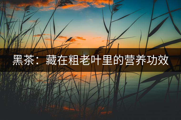 黑茶：藏在粗老葉里的營(yíng)養(yǎng)功效