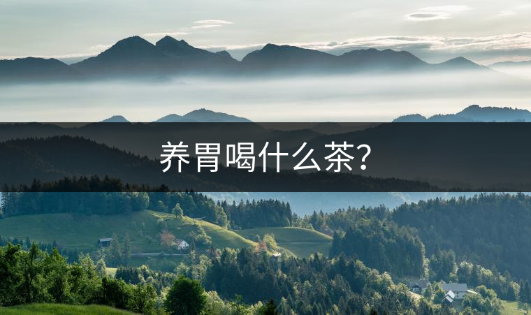 養(yǎng)胃喝什么茶？