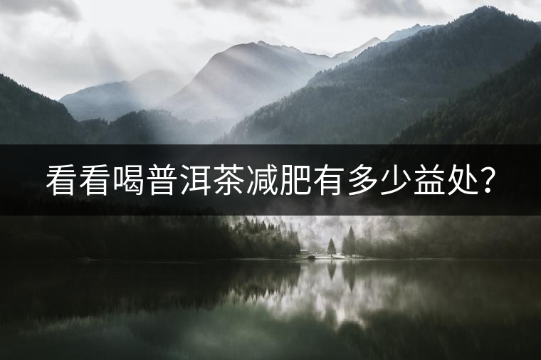 看看喝普洱茶減肥有多少益處？