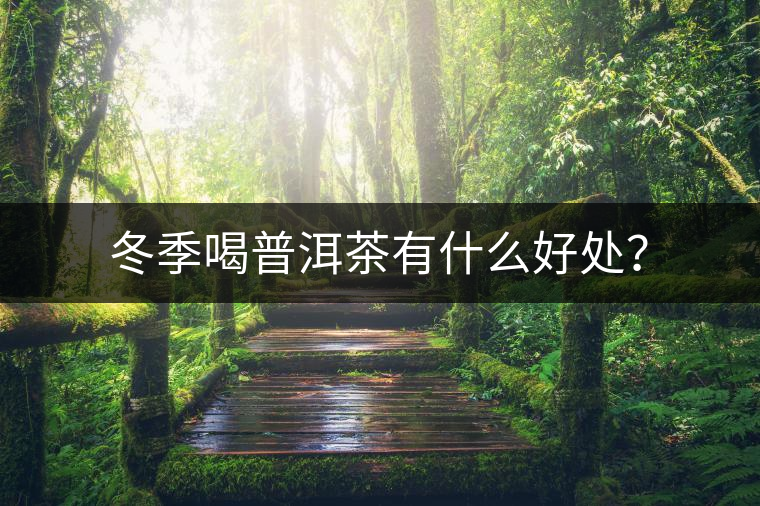 冬季喝普洱茶有什么好處？