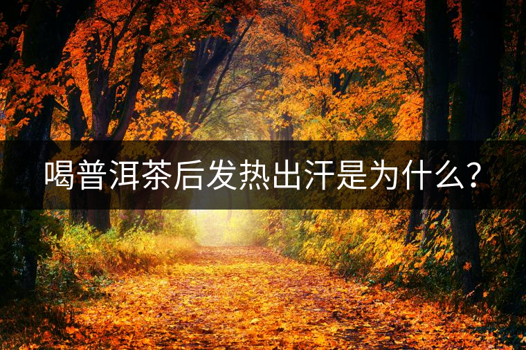 喝普洱茶后發(fā)熱出汗是為什么？