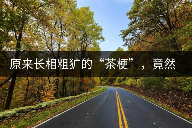 原來長相粗獷的“茶梗”，竟然還有這么多的作用