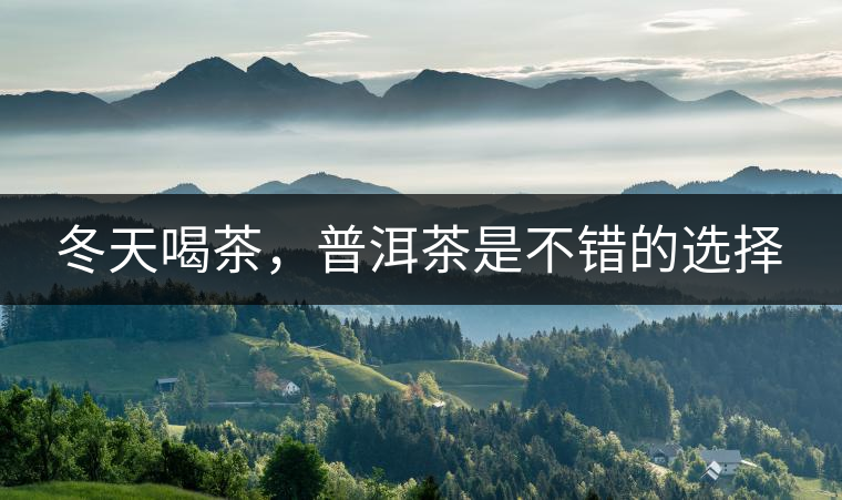 冬天喝茶，普洱茶是不錯(cuò)的選擇