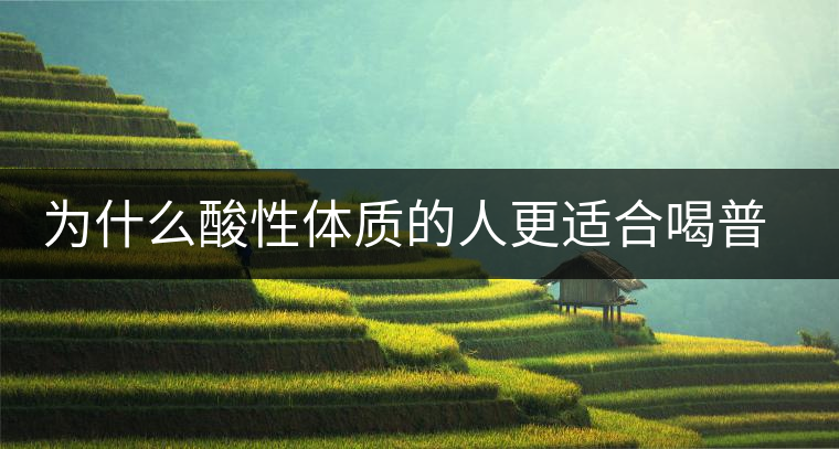 為什么酸性體質(zhì)的人更適合喝普洱茶？