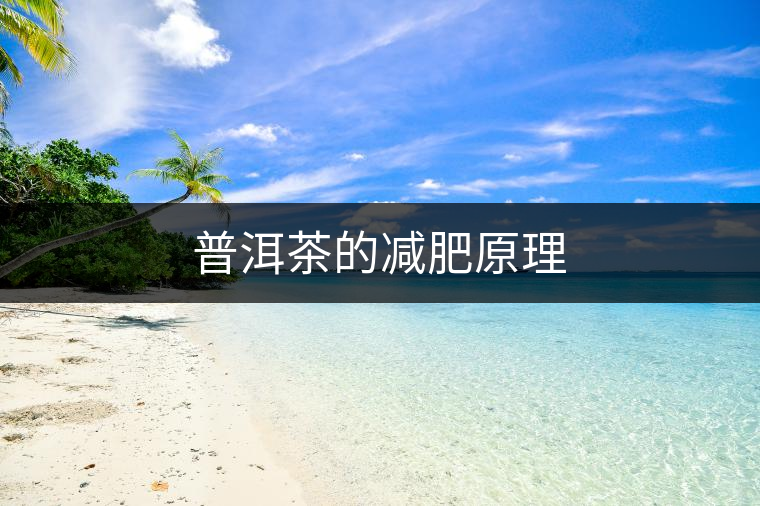 普洱茶的減肥原理