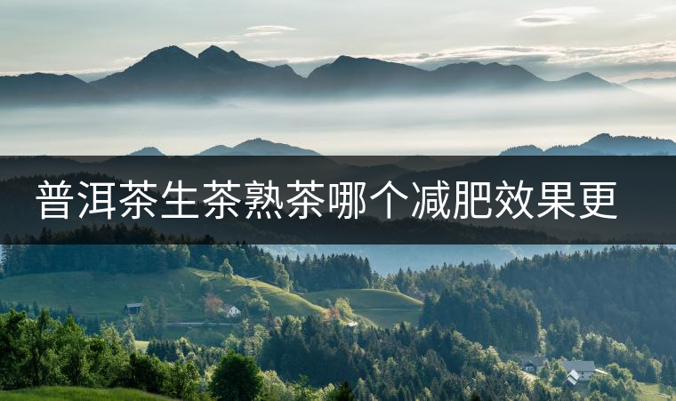 普洱茶生茶熟茶哪個減肥效果更好