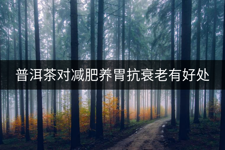 普洱茶對(duì)減肥養(yǎng)胃抗衰老有好處