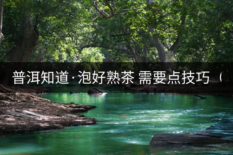 普洱知道·泡好熟茶 需要點(diǎn)技巧（3）