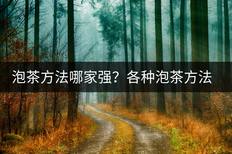 泡茶方法哪家強(qiáng)？各種泡茶方法介紹