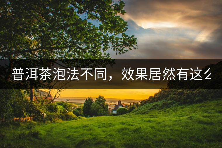 普洱茶泡法不同，效果居然有這么大區(qū)別！