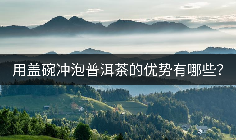 用蓋碗沖泡普洱茶的優(yōu)勢有哪些？