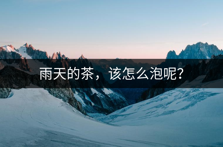 雨天的茶，該怎么泡呢？