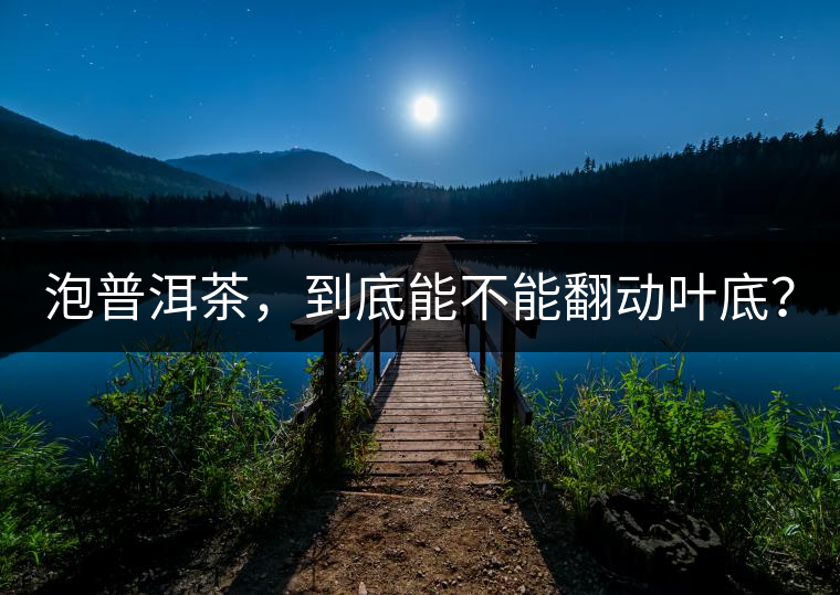 泡普洱茶，到底能不能翻動(dòng)葉底？