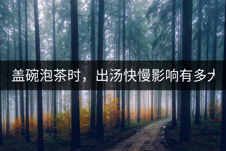 蓋碗泡茶時，出湯快慢影響有多大？