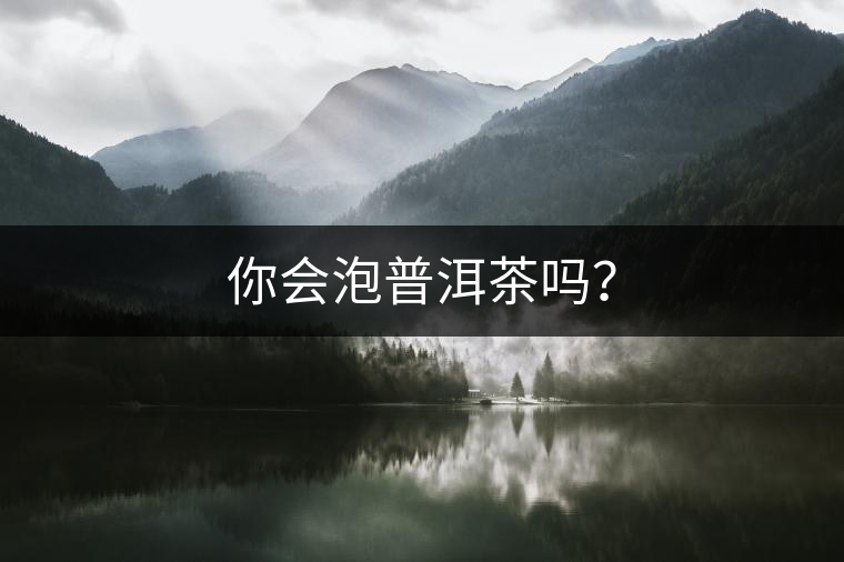 你會泡普洱茶嗎？