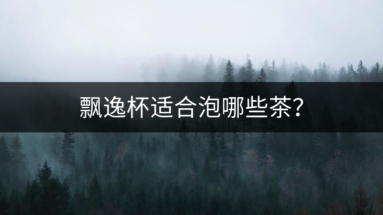 飄逸杯適合泡哪些茶？