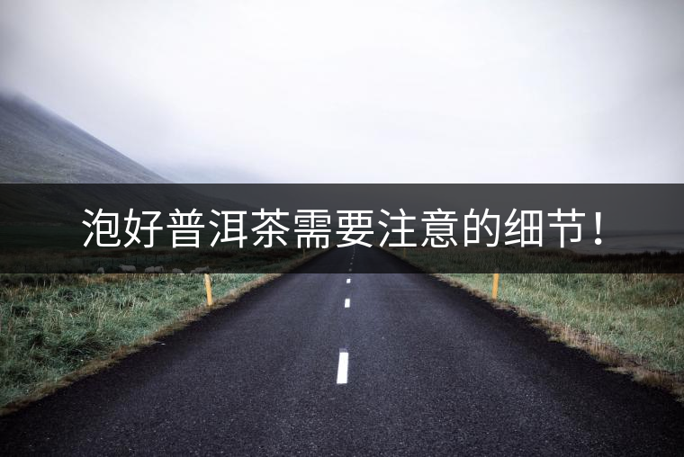泡好普洱茶需要注意的細(xì)節(jié)! 泡好普洱茶需要注意的細(xì)節(jié)!