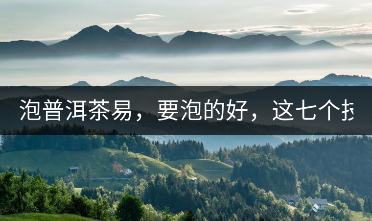 泡普洱茶易，要泡的好，這七個(gè)技巧很重要！