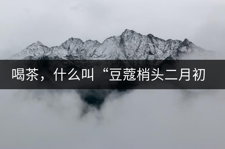 喝茶，什么叫“豆蔻梢頭二月初”？