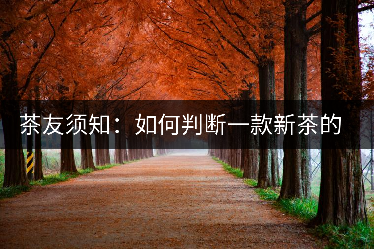 茶友須知：如何判斷一款新茶的陳化潛力？