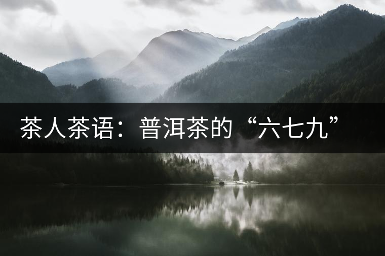 茶人茶語：普洱茶的“六七九” 你知道嗎？