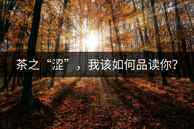 茶之“澀”，我該如何品讀你？