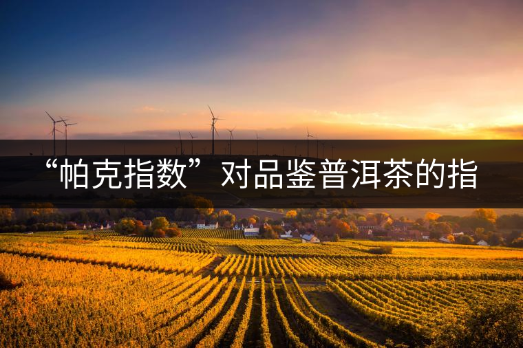 “帕克指數(shù)”對品鑒普洱茶的指導(dǎo)意義在哪里？「跨界有道」