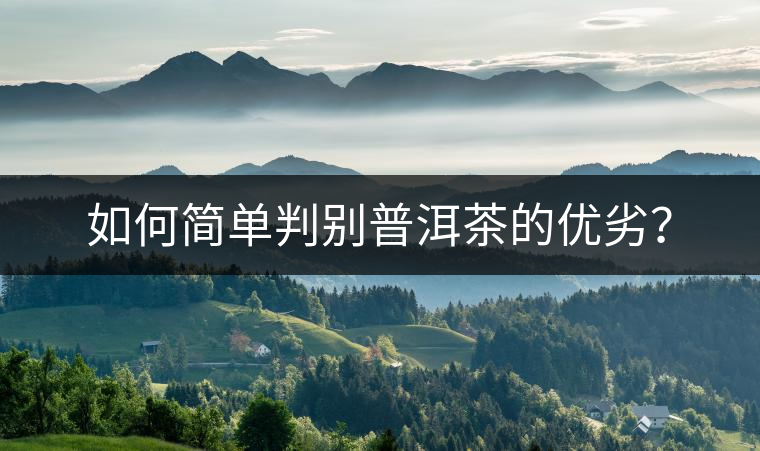 如何簡(jiǎn)單判別普洱茶的優(yōu)劣？