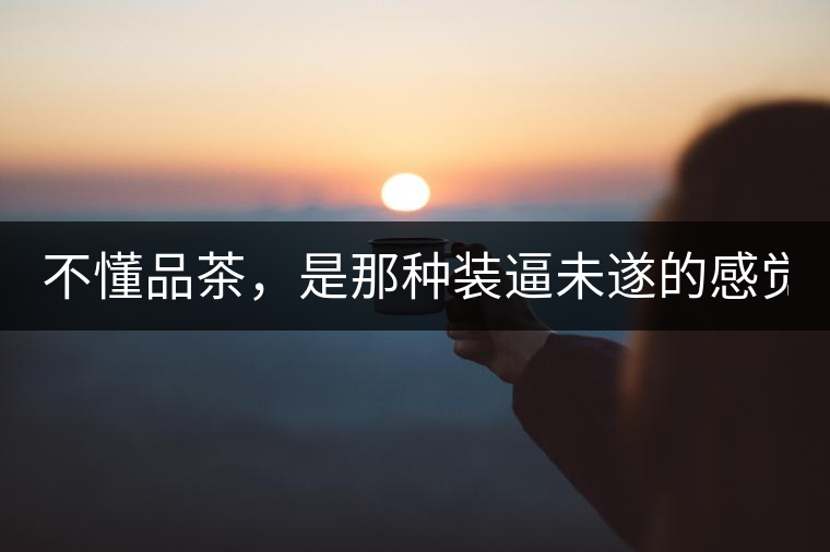 不懂品茶，是那種裝逼未遂的感覺？