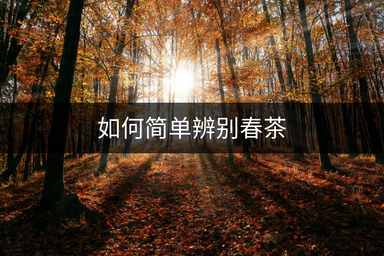 如何簡(jiǎn)單辨別春茶