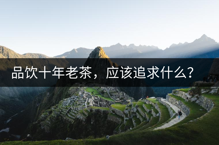 品飲十年老茶，應(yīng)該追求什么？滋味還是故事？